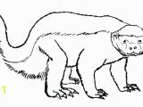 Honey Badger Coloring Page Badger Coloring Pages Honey Badger Line Drawing Wisconsin Badger