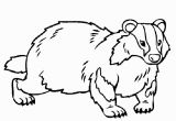 Honey Badger Coloring Page Honey Badger Coloring Page Coloring Pages Pinterest
