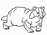 Honey Badger Coloring Page Honey Badger Coloring Page Coloring Pages Pinterest