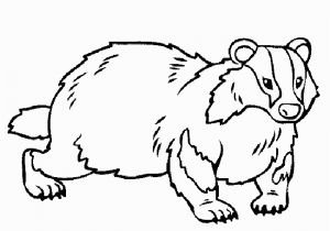 Honey Badger Coloring Page Honey Badger Coloring Page Coloring Pages Pinterest