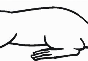 Honey Badger Coloring Page Honey Badger Coloring Page
