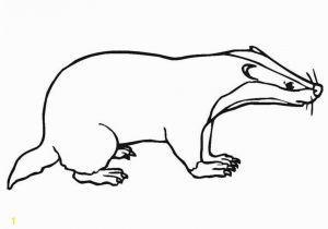 Honey Badger Coloring Page Instructive Honey Badger Coloring Page Best 9684 Unknown