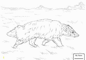 Honey Badger Coloring Page New Honey Badger Coloring Page Drawing at Getdrawings Free for