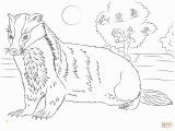 Honey Badger Coloring Page Unparalleled Honey Badger Coloring Page Free Printable Pages 2093