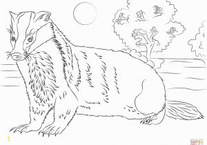 Honey Badger Coloring Page Unparalleled Honey Badger Coloring Page Free Printable Pages 2093
