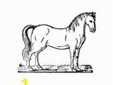 Horse Dressage Coloring Pages 248 Best Horse Coloring Images In 2019