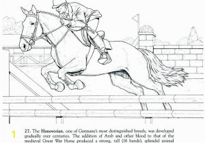 Horse Dressage Coloring Pages Horse with Bridle Coloring Page Google Search