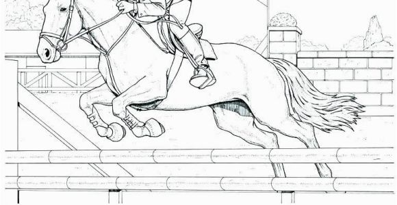 Horse Dressage Coloring Pages Horse with Bridle Coloring Page Google Search