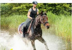 Horse Dressage Coloring Pages Waldhausen Catalog Spring Summer 2017 by Waldhausen Gmbh