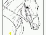 Horse Head Coloring Pages/ Printable Free Horse to Color