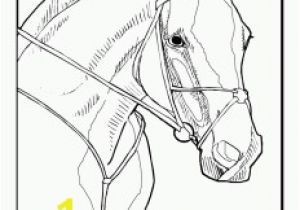 Horse Head Coloring Pages/ Printable Free Horse to Color