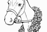 Horse Head Coloring Pages/ Printable Free Printable Horse Coloring Pages for Kids