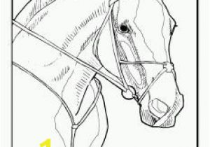 Horse Racing Coloring Pages 20 Best Konji Images