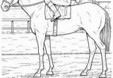 Horse Racing Coloring Pages 25 Best Sports Coloring Pages Images