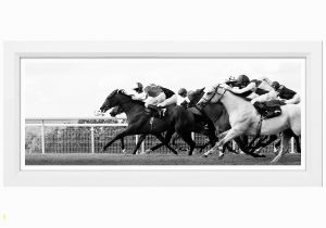 Horse Racing Wall Murals Horse Race Panorama Find the Perfect Piece