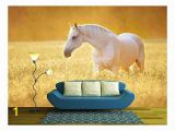 Horse Stable Wall Mural Amazon Wall26 Multi Colored Air Shata Fly Over Rocks