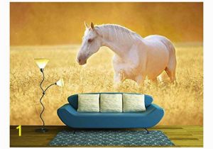 Horse Stable Wall Mural Amazon Wall26 Multi Colored Air Shata Fly Over Rocks