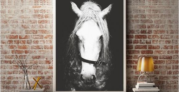 Horse Wall Decals Murals Black & White Horse Graphy Horse Wall Decor Horse Wall