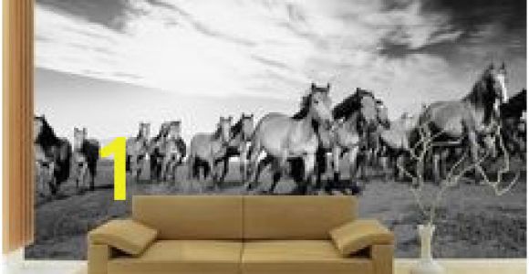 Horse Wall Murals Uk 23 Best Horse Wall Murals Images