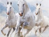 Horse Wall Murals Uk Sky Horses Wall Mural & Wallpaper Wall