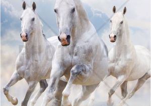 Horse Wall Murals Uk Sky Horses Wall Mural & Wallpaper Wall