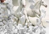 Horse Wall Murals Uk wholesale 3d White Horse Wall Murals Wallpaper Canvas 3d Horse