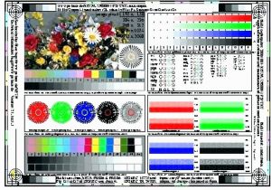 How Do I Print A Color Test Page Canon Color Test Page – Medicozombiefo