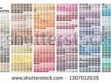 How Do I Print A Color Test Page Color Table Pantone Of the Fashion Home and Interiors