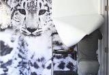 How Do You Spell Wall Mural Snow Leopard Wallpaper Mural Diy