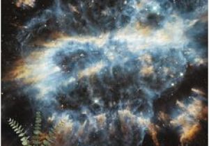 Hubble Deep Field Wall Mural 61 Best Fantasy and Sci Fi Wall Murals Images