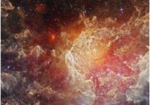Hubble Deep Field Wall Mural 7 Best Stuff to Images
