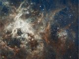 Hubble Deep Field Wall Mural Free Image On Pixabay Galaxy Star Tarantula Nebula