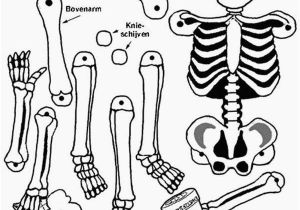 Human Anatomy Coloring Pages for Kids Anatomy Coloring Pages for Kids Coloring Home