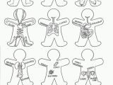 Human Anatomy Coloring Pages for Kids Anatomy Coloring Pages for Kids Coloring Home