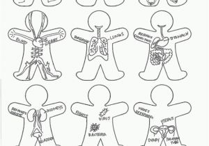 Human Anatomy Coloring Pages for Kids Anatomy Coloring Pages for Kids Coloring Home