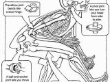 Human Anatomy Coloring Pages for Kids Human Body Systems Coloring Pages Coloring Home