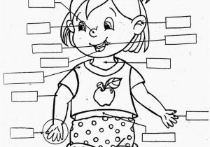 Human Anatomy Coloring Pages for Kids Pin On Coloring Pages