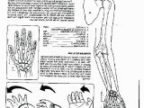 Human Anatomy Coloring Pages Free Human Body Coloring Pages Beautiful Free Printable Human Anatomy