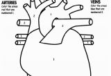 Human Heart Coloring Pages Printable Human Heart Coloring Page Awesome Tells Kids What Part to Color