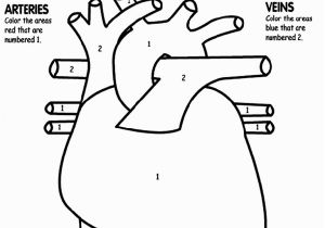 Human Heart Coloring Pages Printable Human Heart Coloring Page Awesome Tells Kids What Part to Color