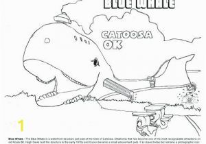 Humpback Whale Coloring Page Blue Whale Coloring Page – Multinaareaub