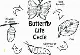 Hungry Caterpillar Coloring Pages Pdf Hungry Caterpillar Printable Coloring Pages Excellent Ideas