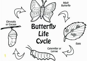 Hungry Caterpillar Coloring Pages Pdf Hungry Caterpillar Printable Coloring Pages Excellent Ideas