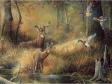 Hunting Scene Wall Murals 50 ] 3d Wallpaper Murals for Sale On Wallpapersafari