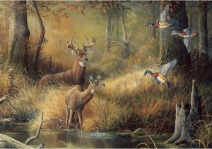 Hunting Scene Wall Murals 50 ] 3d Wallpaper Murals for Sale On Wallpapersafari