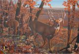 Hunting Scene Wall Murals Deer Paintings