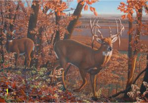 Hunting Scene Wall Murals Deer Paintings