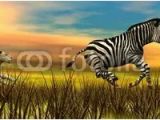Hunting Scene Wall Murals Tiger Walking In the Savannah 3d Render Three Dimensional