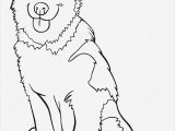 Husky Dog Coloring Pages Printable â· Free Collection 13 Lovely Coloring Pages to Print for Free