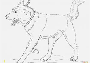 Husky Dog Coloring Pages Printable Ausmalbild Hund Boxer Verschiedene Bilder Färben Siberian Husky Dog